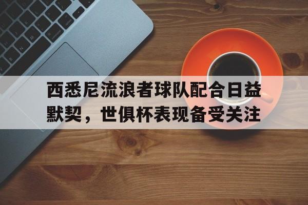 爱奇艺体育在线直播-西悉尼流浪者球队配合日益默契，世俱杯表现备受关注的简单介绍